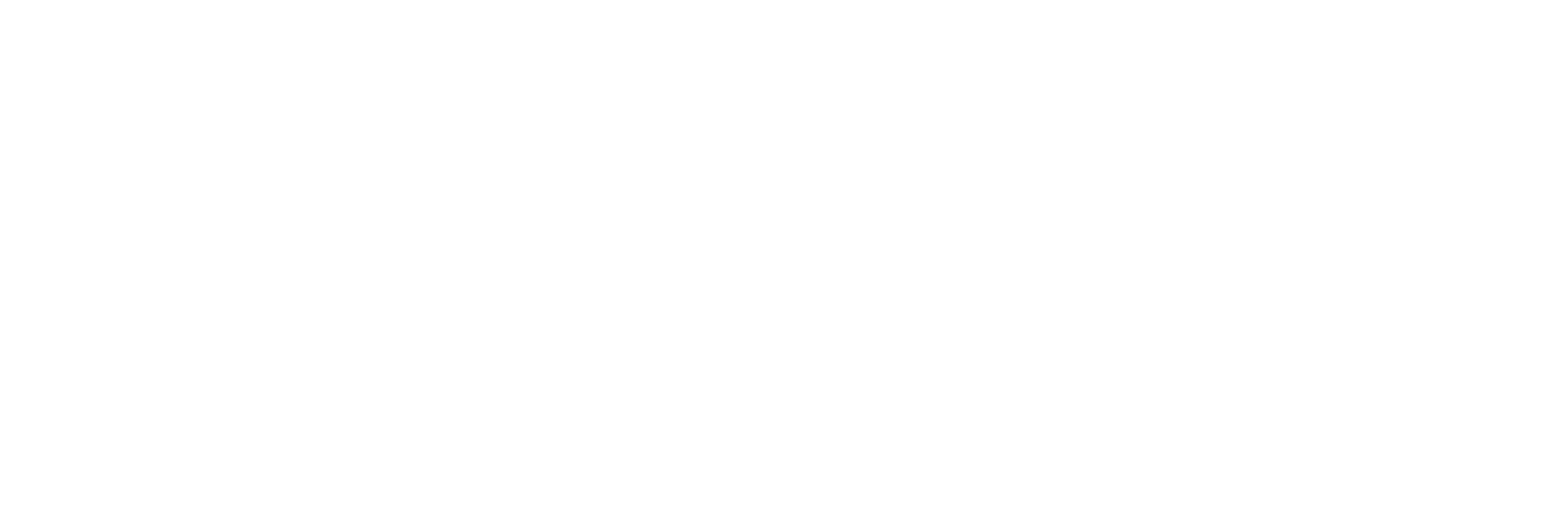 White logo - no background