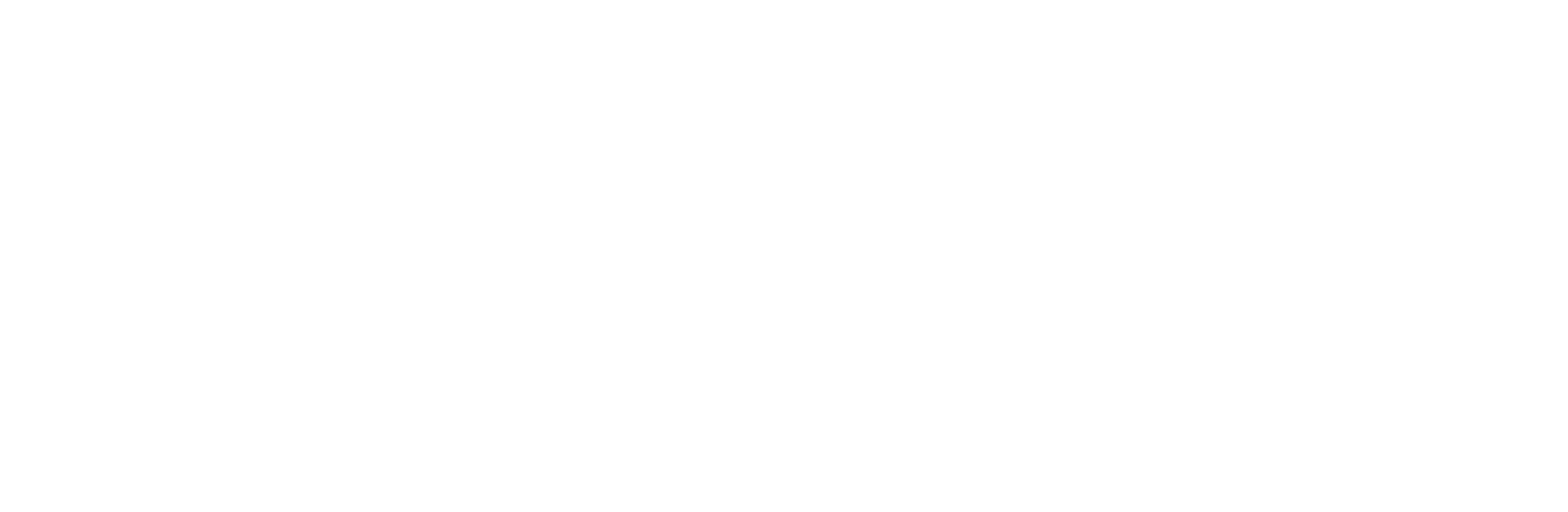 White logo - no background